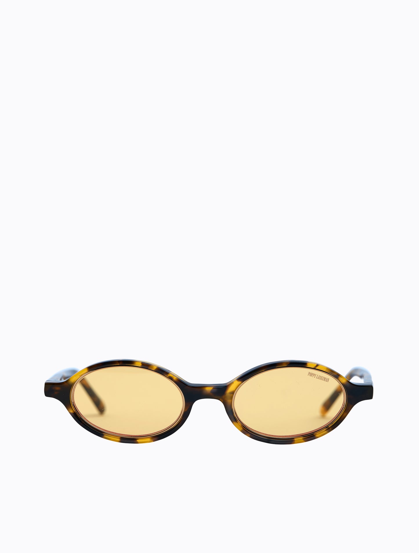 Bertie - Yellow Torti / Yellow