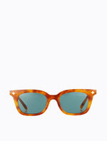 Vinny - Orange Torti/Teal